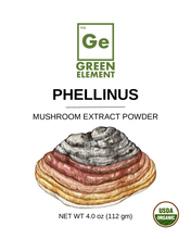 Load image into Gallery viewer, Phellinus Mushroom Extract - Organic
